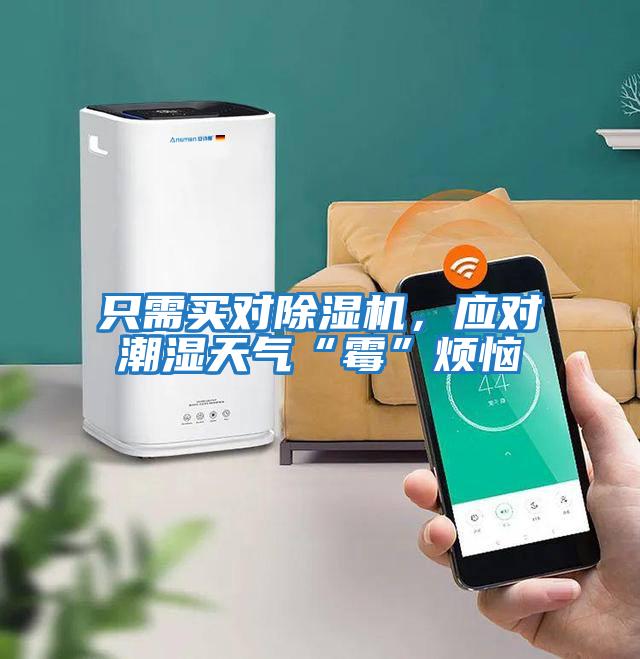 只需買對除濕機(jī),應(yīng)對潮濕天氣“霉”煩惱