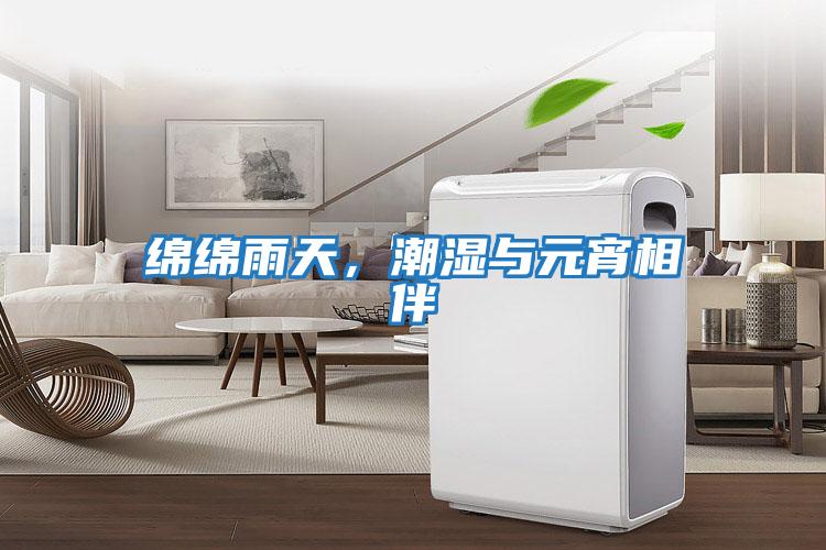 綿綿雨天，潮濕與元宵相伴