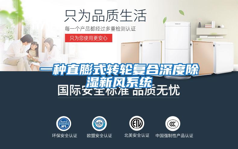 一種直膨式轉輪復合深度除濕新風系統(tǒng)