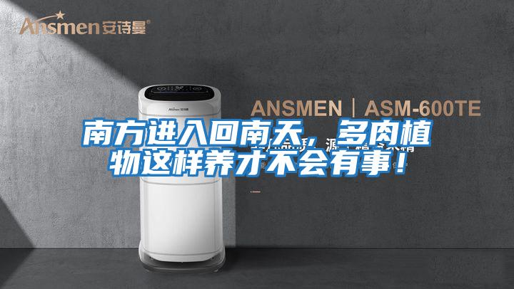 南方進(jìn)入回南天，多肉植物這樣養(yǎng)才不會有事！