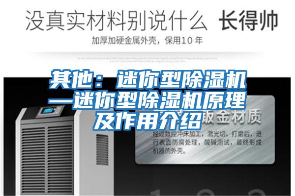 其他:迷你型除濕機—迷你型除濕機原理及作用介紹