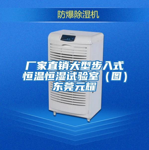廠家直銷大型步入式恒溫恒濕試驗(yàn)室(圖)東莞元耀