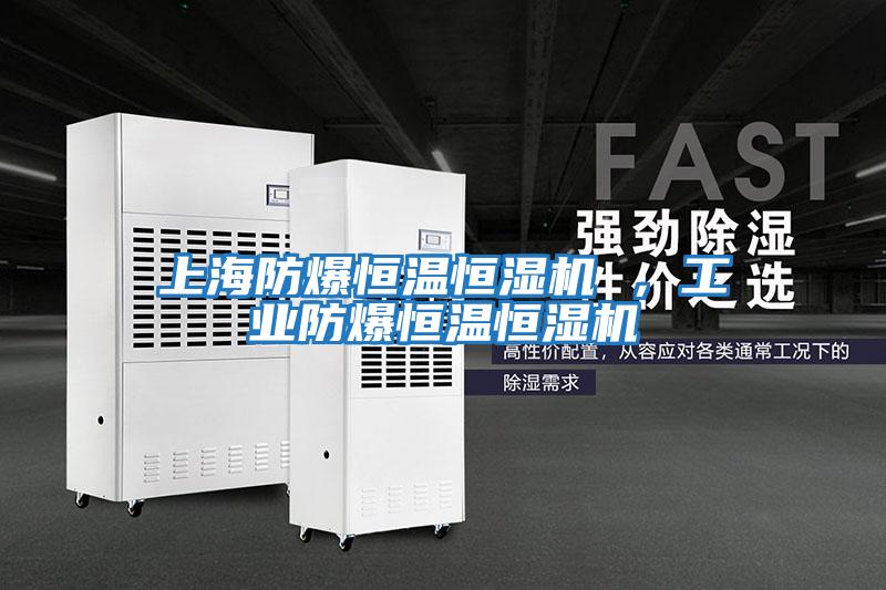 上海防爆恒溫恒濕機(jī) ,工業(yè)防爆恒溫恒濕機(jī)