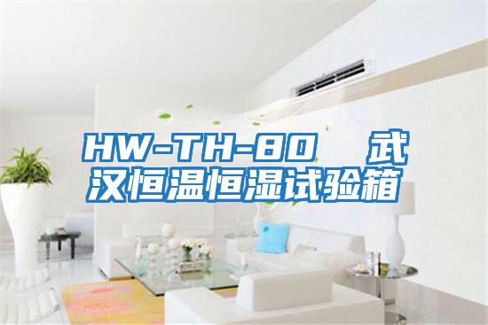 HW-TH-80 武漢恒溫恒濕試驗箱