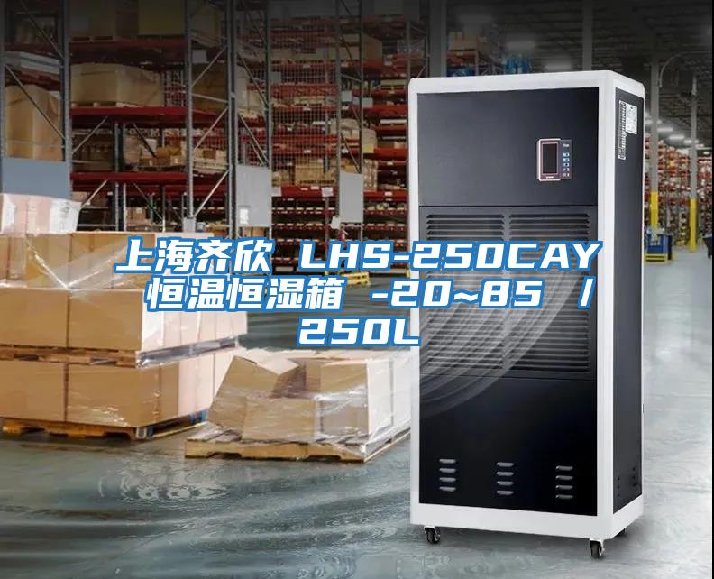 上海齊欣 LHS-250CAY 恒溫恒濕箱 -20~85℃/250L