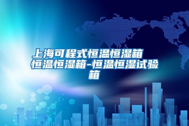 上海可程式恒溫恒濕箱 恒溫恒濕箱-恒溫恒濕試驗箱