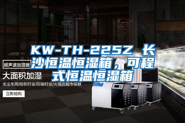 KW-TH-225Z 長(zhǎng)沙恒溫恒濕箱,可程式恒溫恒濕箱