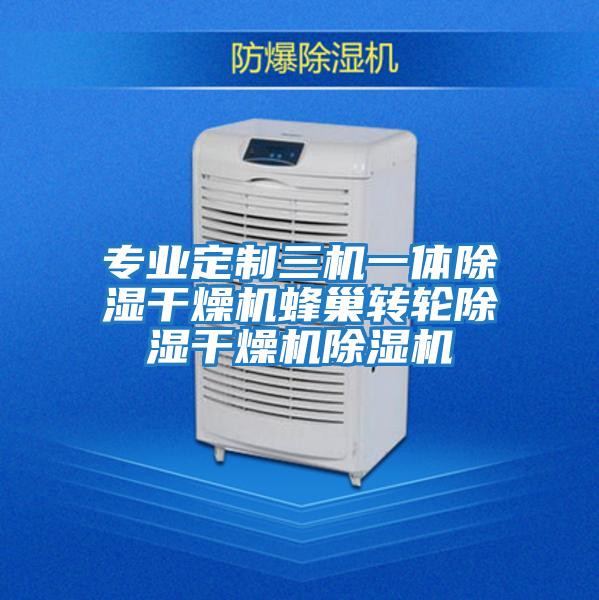 專業(yè)定制三機一體除濕干燥機蜂巢轉輪除濕干燥機除濕機