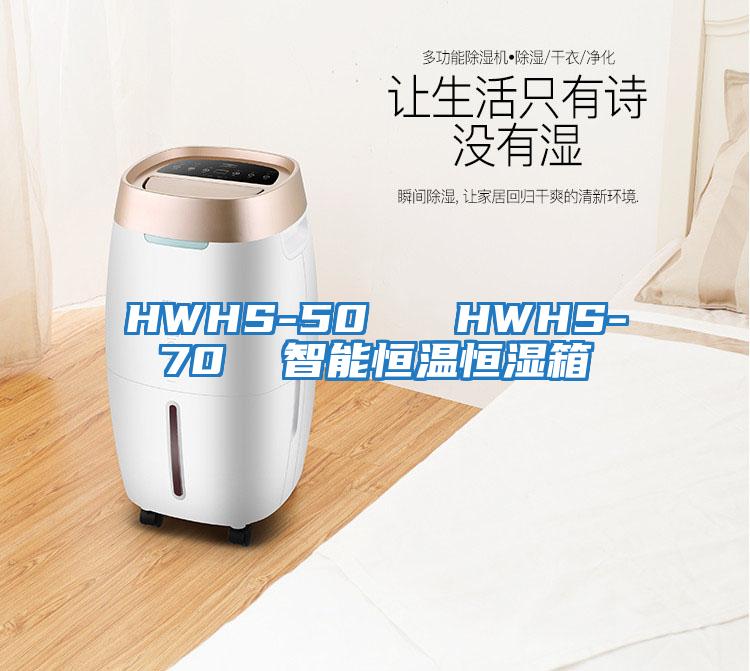 HWHS-50 HWHS-70 智能恒溫恒濕箱