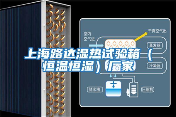 上海路達(dá)濕熱試驗(yàn)箱(恒溫恒濕)廠家