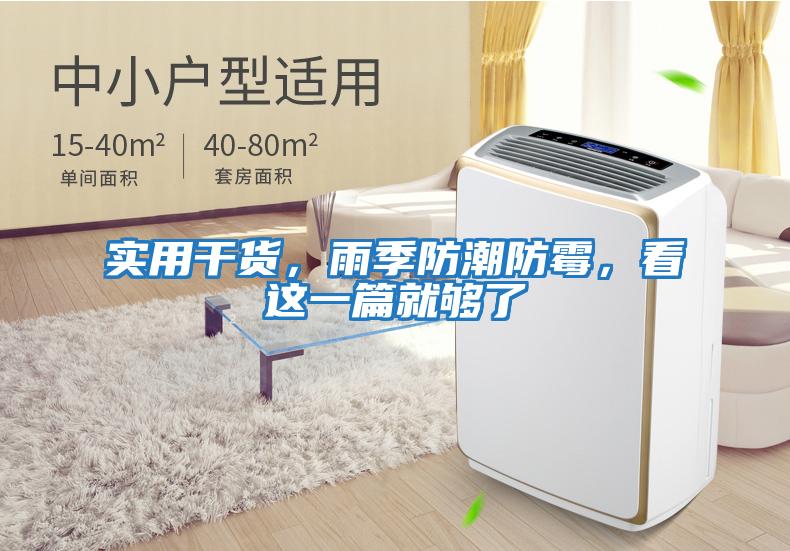 實用干貨，雨季防潮防霉，看這一篇就夠了