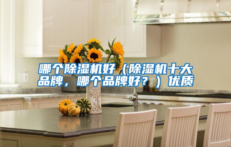 哪個除濕機好(除濕機十大品牌,哪個品牌好?)優質