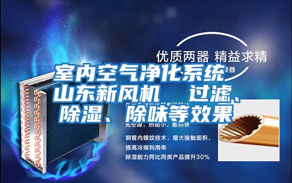室內空氣凈化系統 山東新風機  過濾、除濕、除味等效果