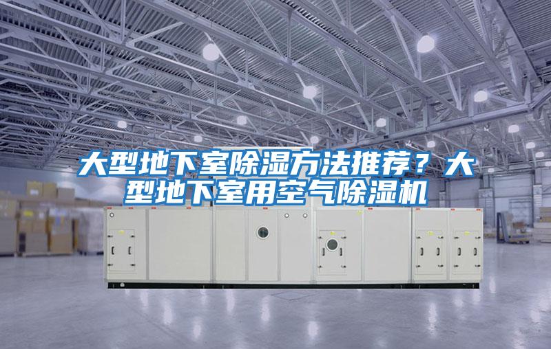 大型地下室除濕方法推薦?大型地下室用空氣除濕機