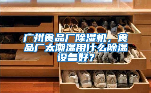 廣州食品廠除濕機，食品廠太潮濕用什么除濕設備好？