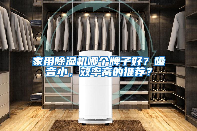 家用除濕機(jī)哪個(gè)牌子好？噪音小，效率高的推薦？