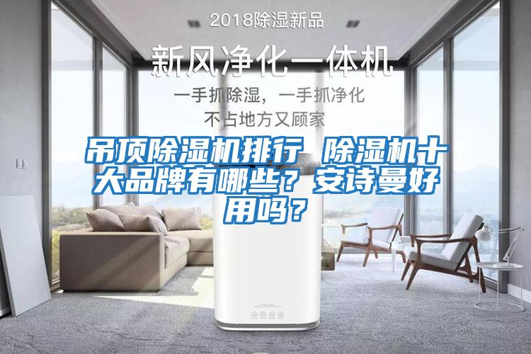 吊頂除濕機排行 除濕機十大品牌有哪些？安詩曼好用嗎？