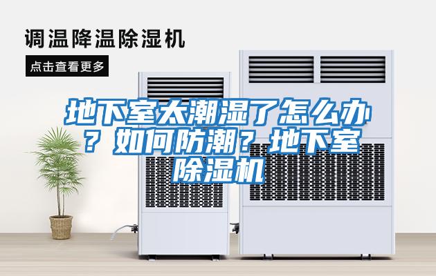 地下室太潮濕了怎么辦？如何防潮？地下室除濕機