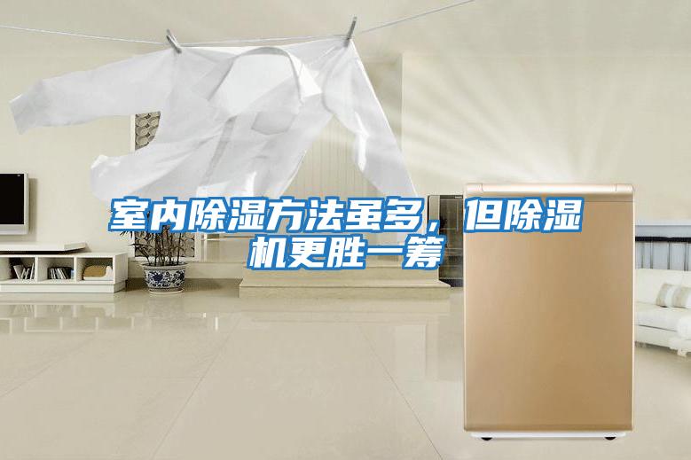 室內除濕方法雖多,但除濕機更勝一籌