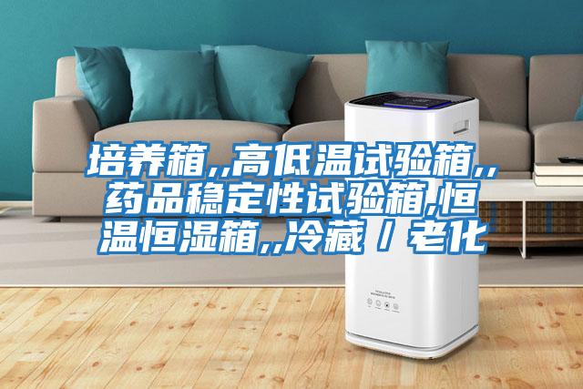 培養(yǎng)箱,,高低溫試驗(yàn)箱,,藥品穩(wěn)定性試驗(yàn)箱,恒溫恒濕箱,,冷藏/老化