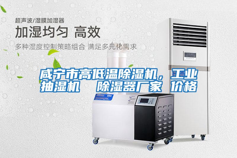 咸寧市高低溫除濕機,工業抽濕機 除濕器廠家 價格
