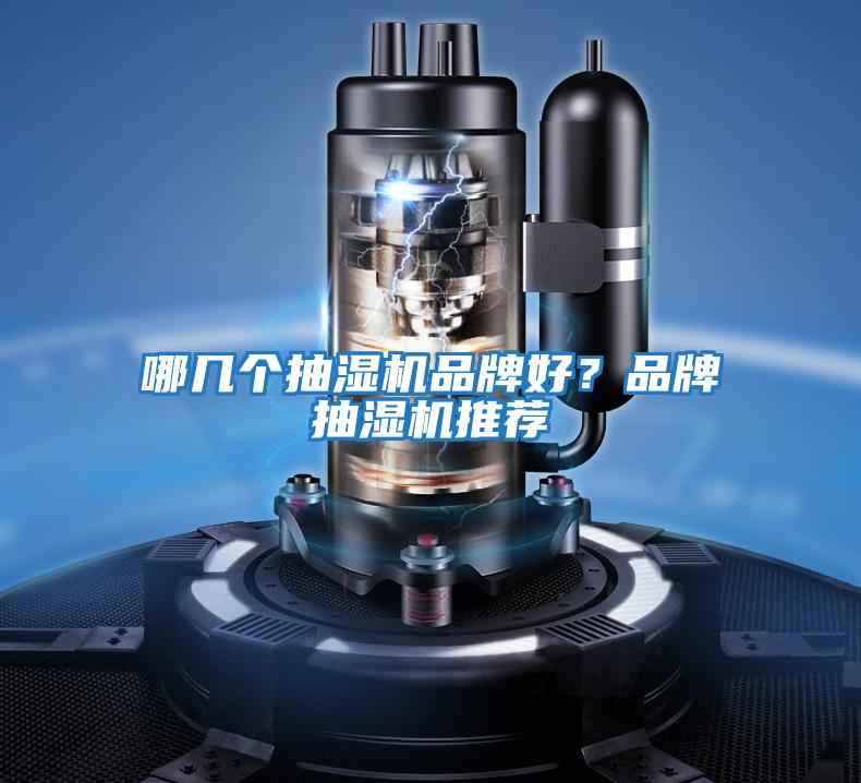 哪幾個抽濕機(jī)品牌好?品牌抽濕機(jī)推薦