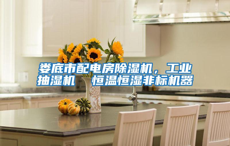 婁底市配電房除濕機(jī),工業(yè)抽濕機(jī) 恒溫恒濕非標(biāo)機(jī)器