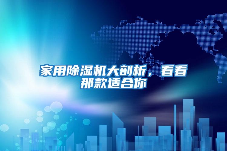 家用除濕機(jī)大剖析,看看那款適合你