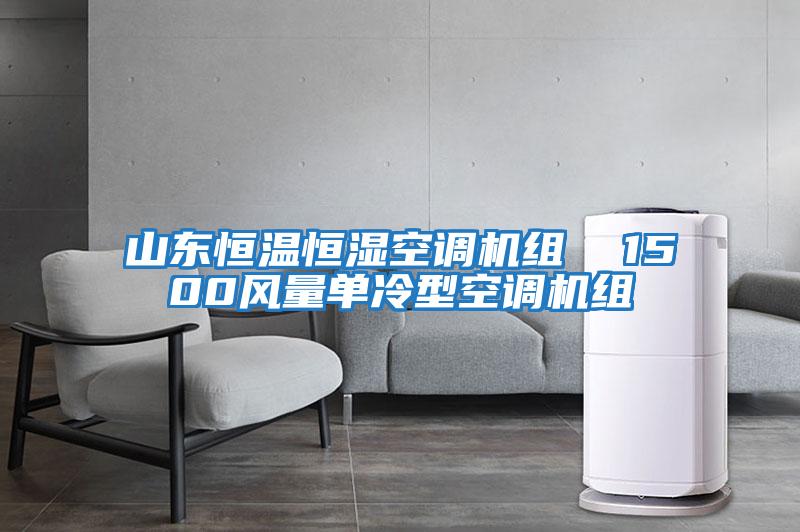 山東恒溫恒濕空調機組  1500風量單冷型空調機組