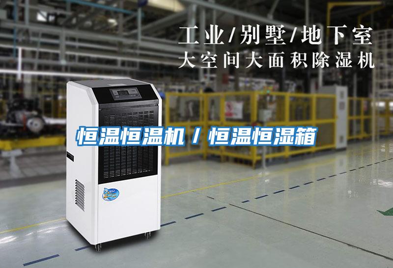 恒溫恒溫機/恒溫恒濕箱