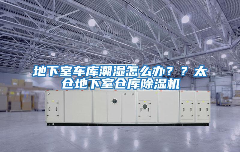 地下室車(chē)庫(kù)潮濕怎么辦??太倉(cāng)地下室倉(cāng)庫(kù)除濕機(jī)