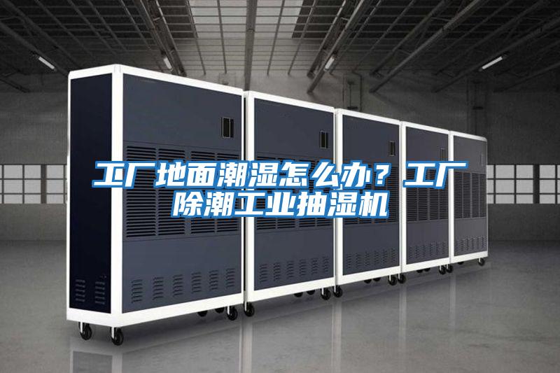 工廠地面潮濕怎么辦？工廠除潮工業抽濕機