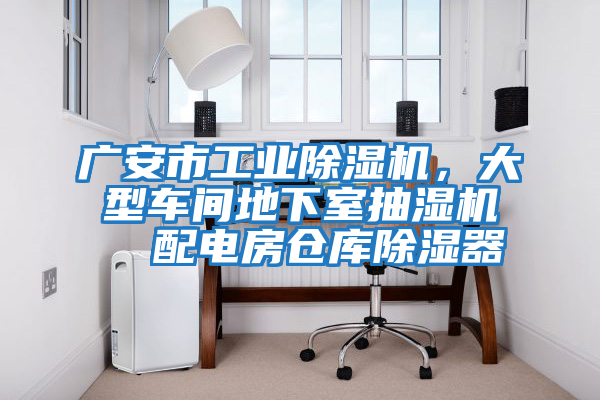 廣安市工業(yè)除濕機,大型車間地下室抽濕機 配電房倉庫除濕器