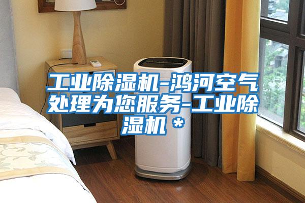 工業除濕機-鴻河空氣處理為您服務-工業除濕機*