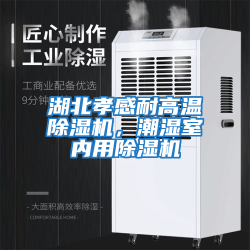 湖北孝感耐高溫除濕機，潮濕室內用除濕機