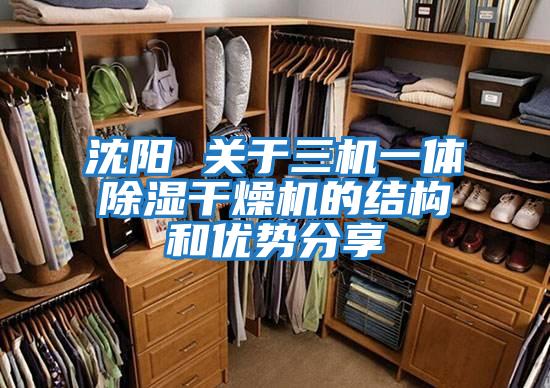 沈陽 關于三機一體除濕干燥機的結(jié)構和優(yōu)勢分享