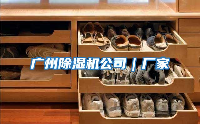 廣州除濕機公司|廠家