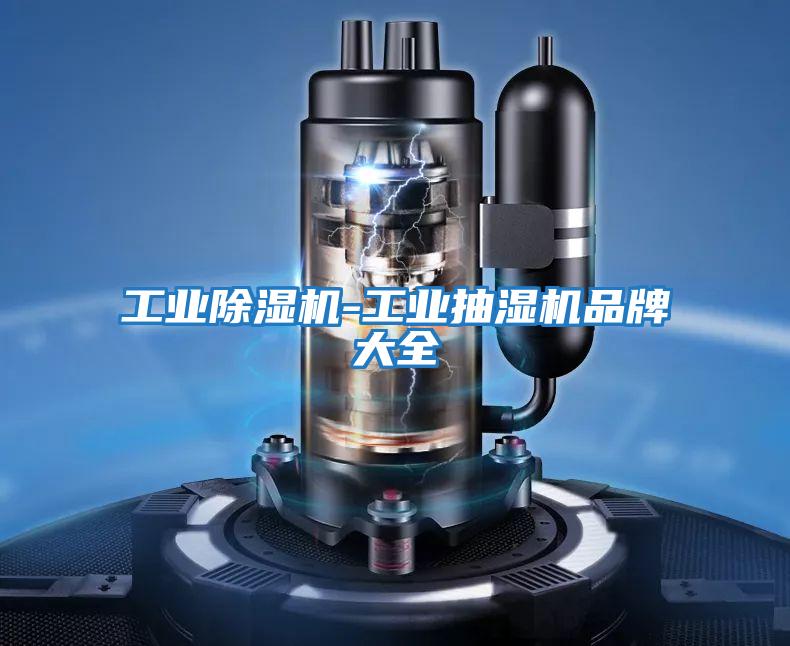 工業除濕機-工業抽濕機品牌大全