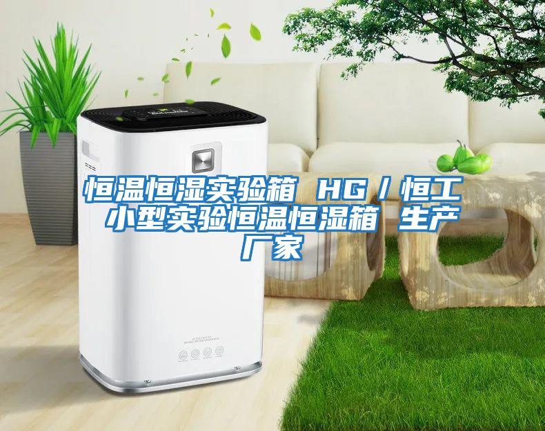 恒溫恒濕實驗箱 HG/恒工 小型實驗恒溫恒濕箱 生產廠家