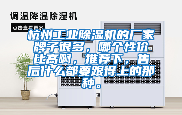 杭州工業除濕機的廠家牌子很多，哪個性價比高啊，推薦下，售后什么都要跟得上的那種。