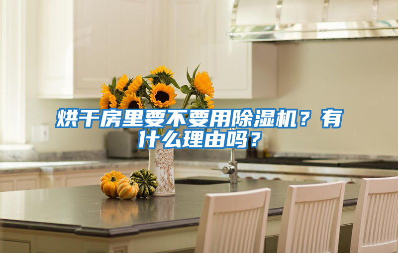 烘干房里要不要用除濕機？有什么理由嗎？