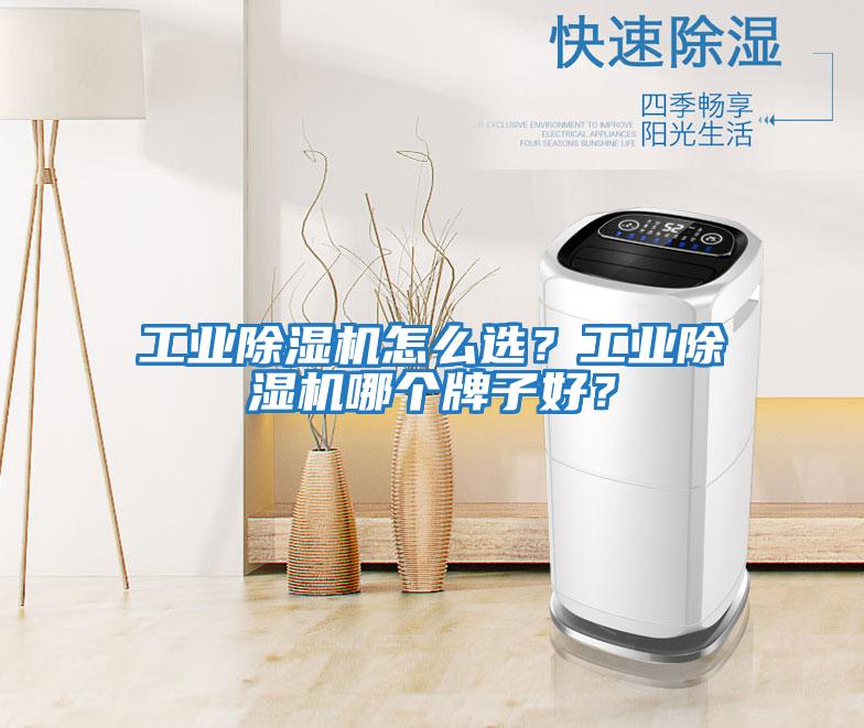 工業(yè)除濕機怎么選？工業(yè)除濕機哪個牌子好？
