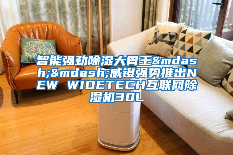 智能強勁除濕大胃王——威鐙強勢推出NEW WIDETECH互聯(lián)網(wǎng)除濕機30L