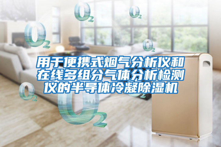 用于便攜式煙氣分析儀和在線多組分氣體分析檢測儀的半導體冷凝除濕機