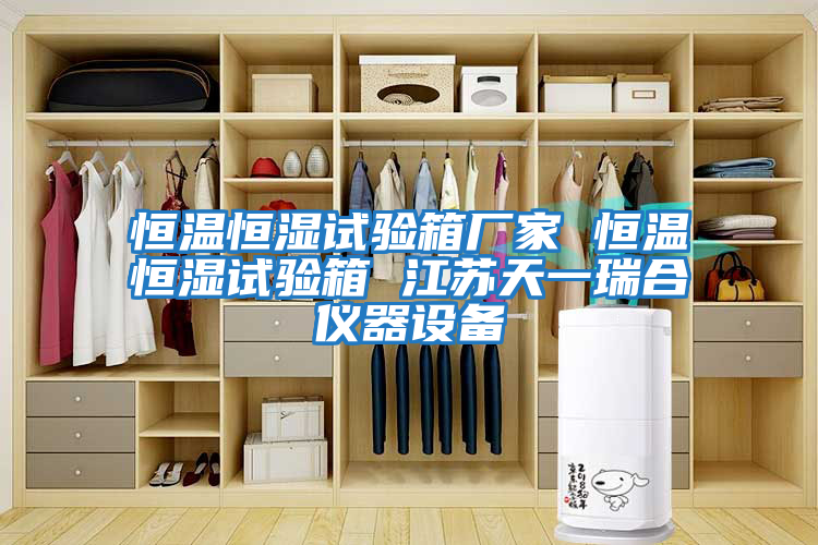 恒溫恒濕試驗箱廠家 恒溫恒濕試驗箱 江蘇天一瑞合儀器設備