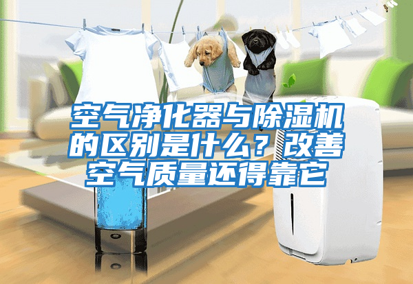 空氣凈化器與除濕機的區別是什么？改善空氣質量還得靠它