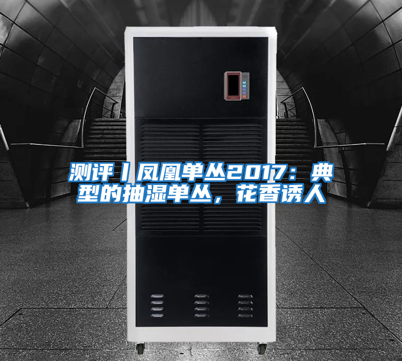 測評(píng)丨鳳凰單叢2017：典型的抽濕單叢，花香誘人