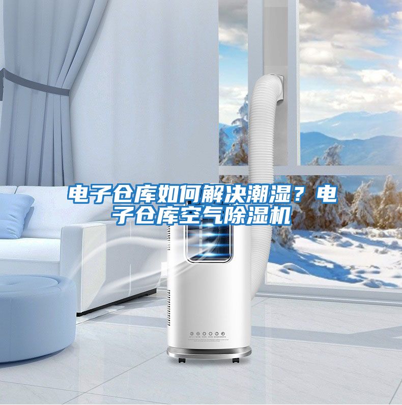 電子倉庫如何解決潮濕？電子倉庫空氣除濕機