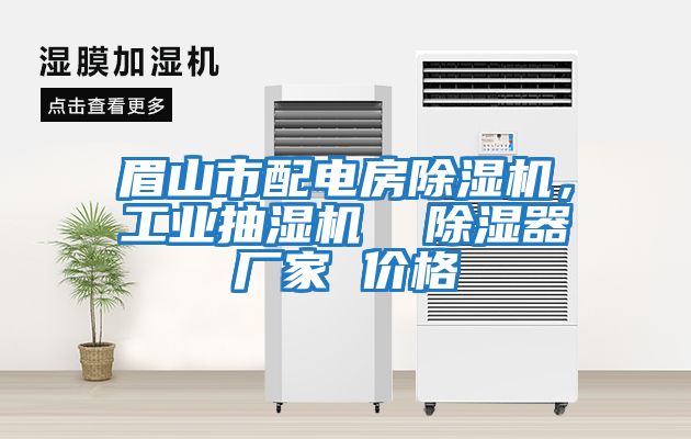眉山市配電房除濕機(jī)，工業(yè)抽濕機(jī)  除濕器廠家 價(jià)格