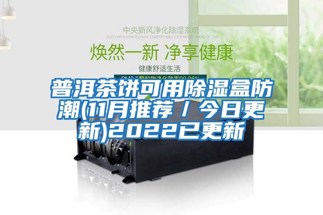 普洱茶餅可用除濕盒防潮(11月推薦/今日更新)2022已更新